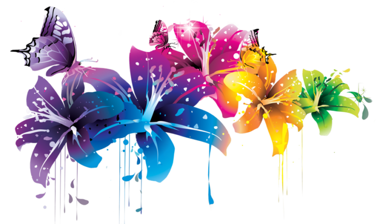 web design web development