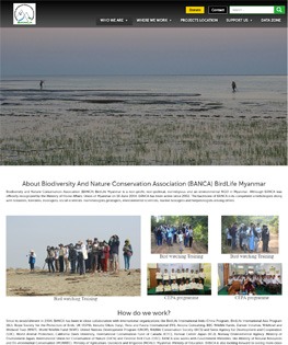 banca-env-org