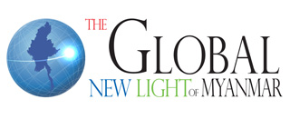 Home 14 gnlm logo